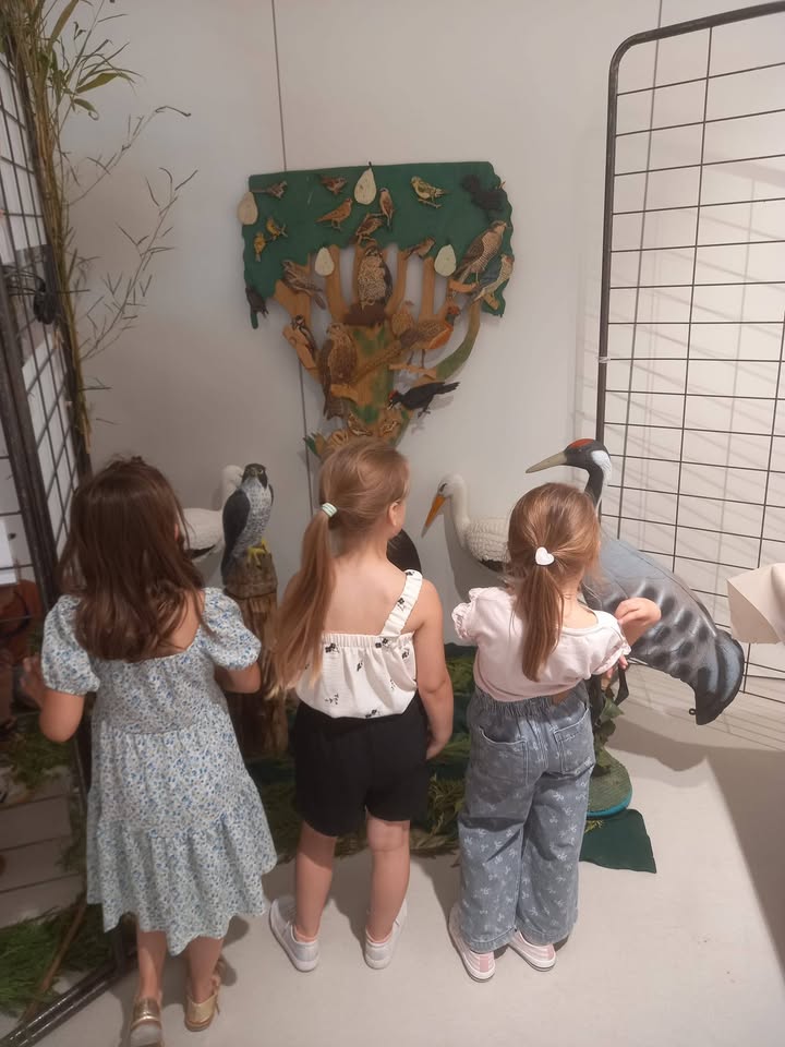 Ecole Sainte Anne Verdun