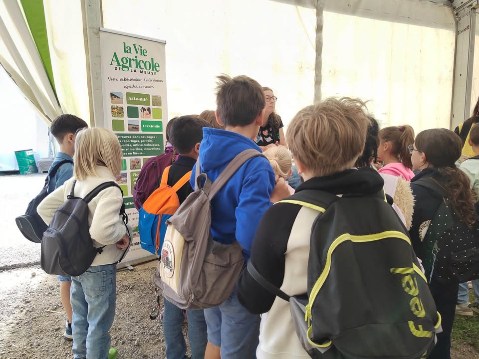 Ecole Sainte Anne Verdun